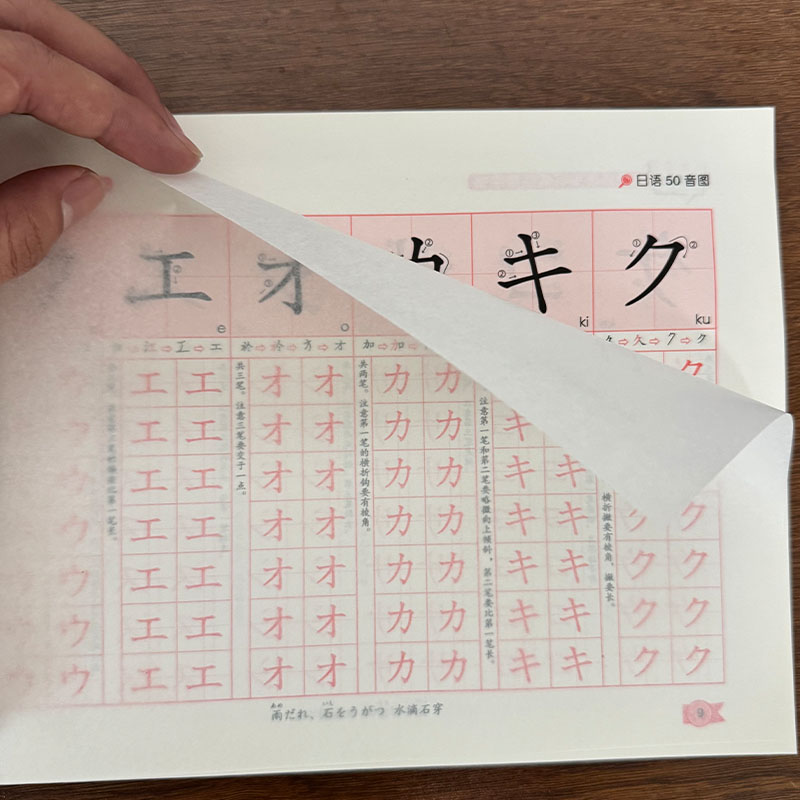 Chinese Calligraphy Practice Book - Zero Beginner Japanese Hiragana Katakana Copybook,