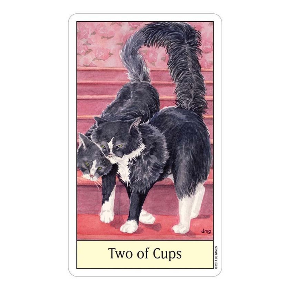 Cats Eye Tarot 12x7 cm Card Ga - Tarot Deck With Guidebook 评论和价格