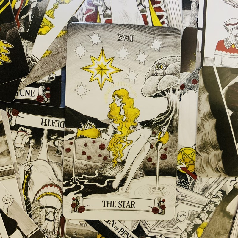 Secret Mirror Tarot cards 80 d - Tarot Deck With Guidebook 评论和价格