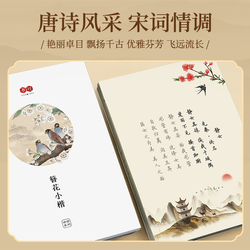 Hairpin Flower Small Kai Calli - Chinese Calligraphy Practice Book 评论和价格