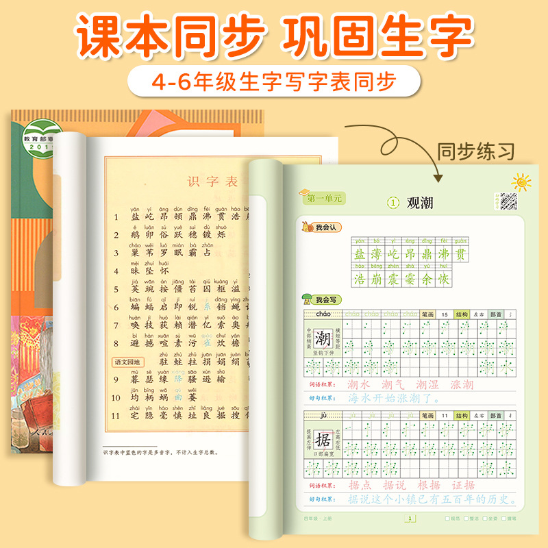 Dot Matrix Font Book, Chinese  - Chinese Calligraphy Practice Book 评论和价格